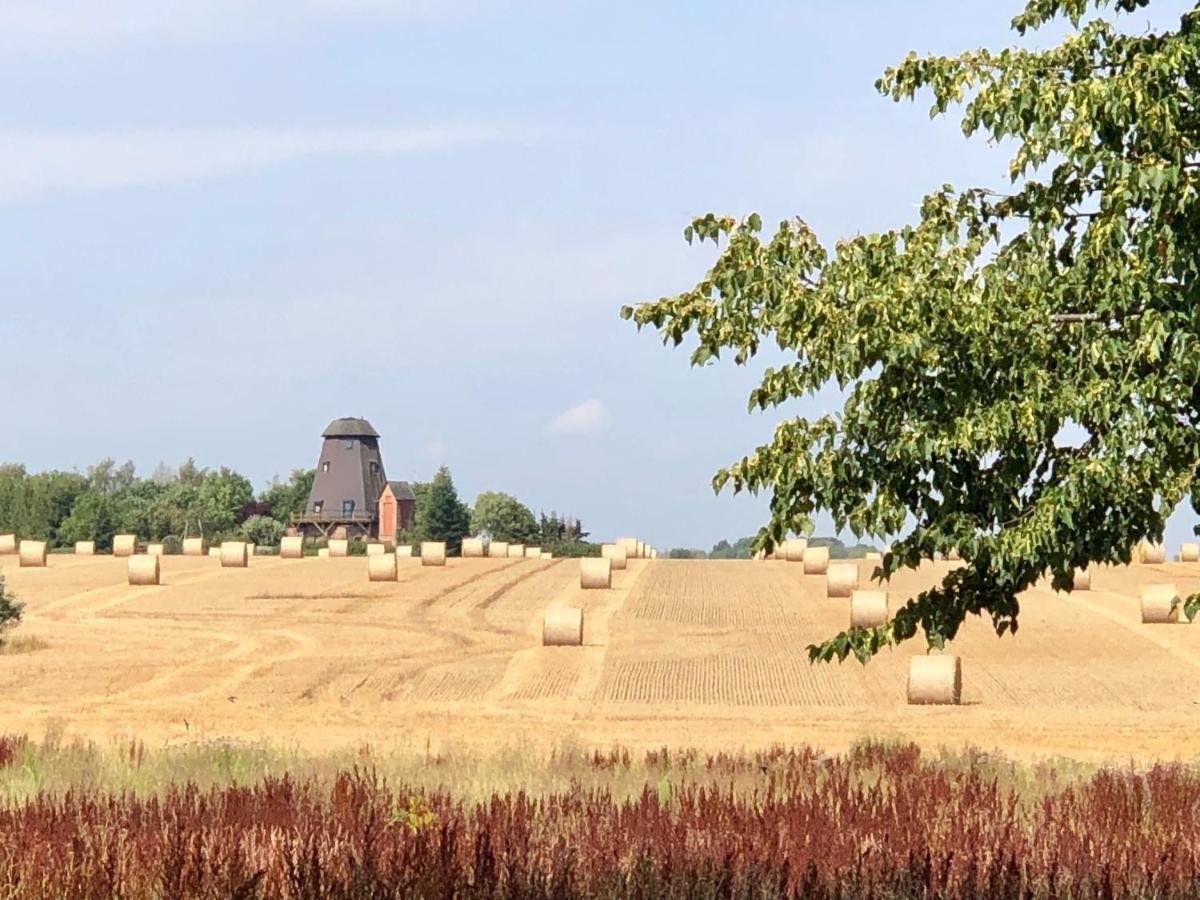 Es Gibt Nichts Zu Tun - Ostsee Naehe Usedom Spantekow Bagian luar foto